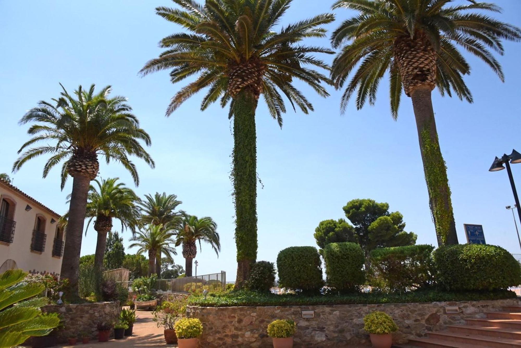San Carlos 4*