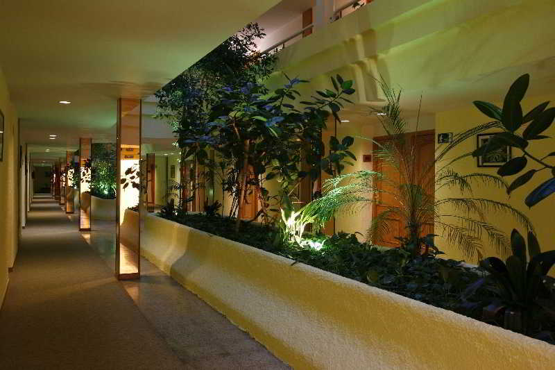 San Carlos 4* Roses